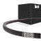 Dunlop B31 White Flash V-Belt